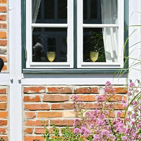 - 9 Apartmán Vilmnitz